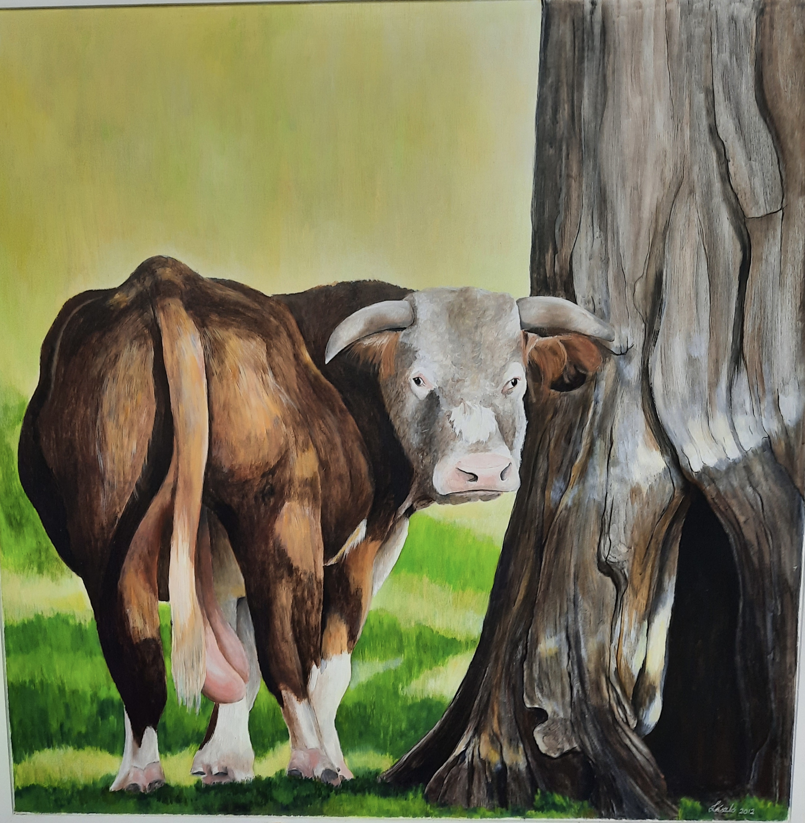 Beef Week Exhibition 